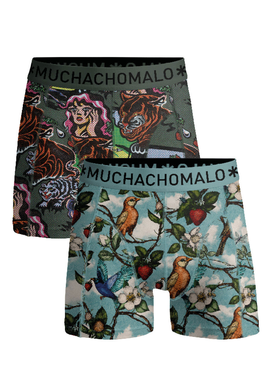 Fruit Origin 04 2pk Boxer