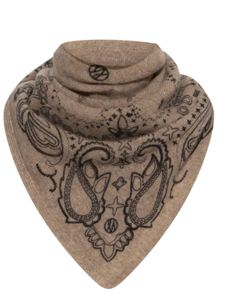 Cashmere paisley