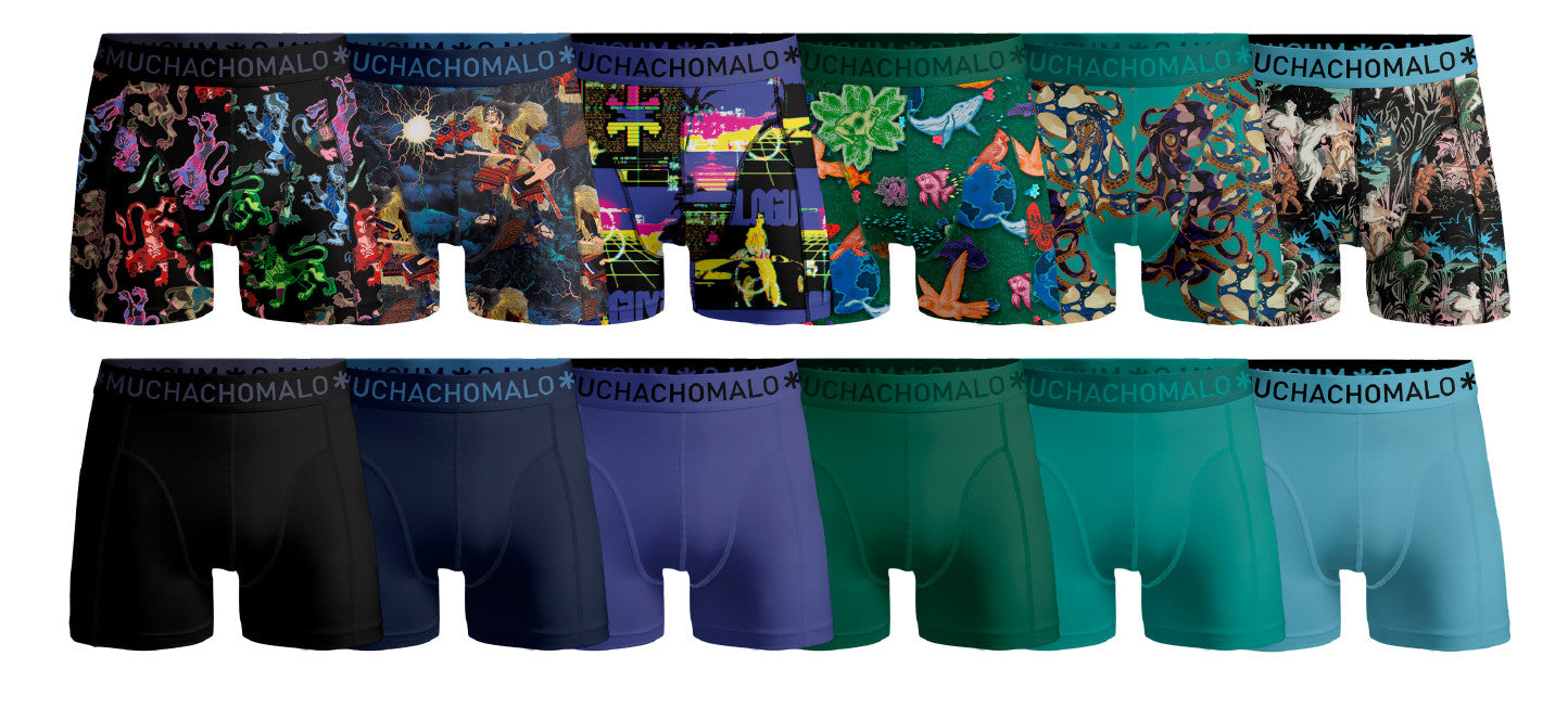1010 12pk Boxer Print/solid 19