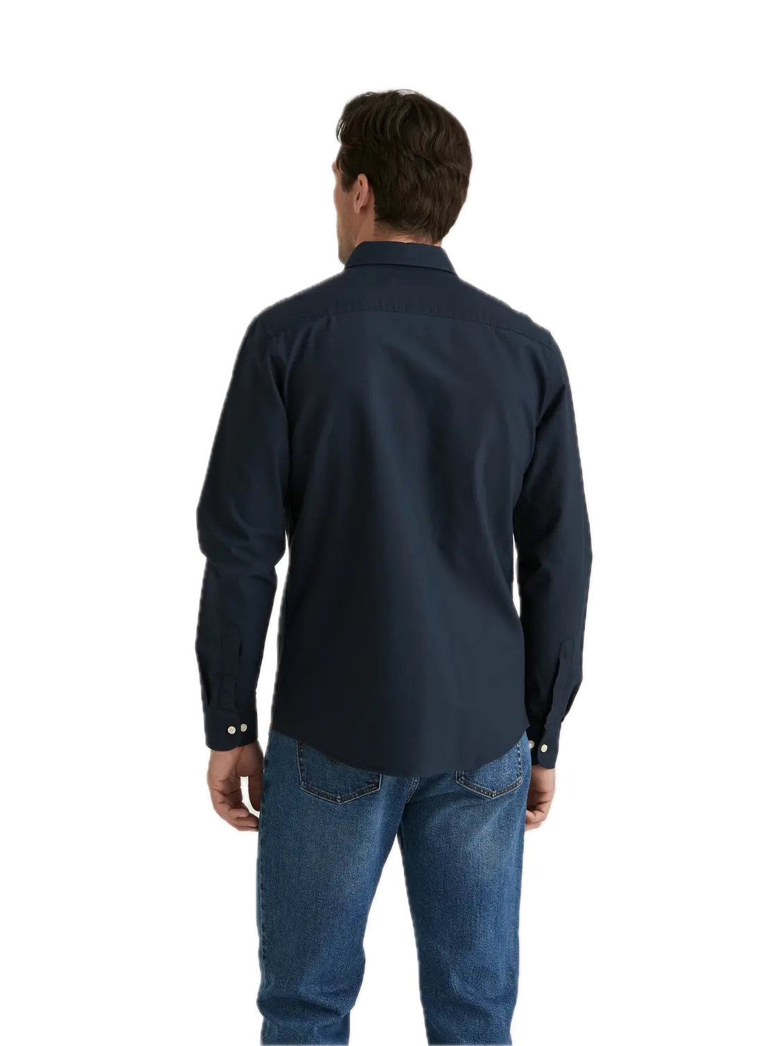 Oxford Button Down Shirt