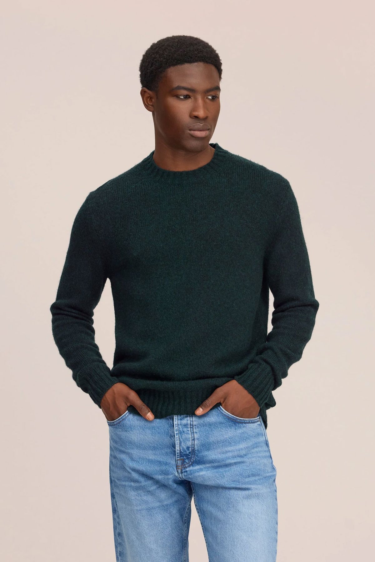 Lee 6598