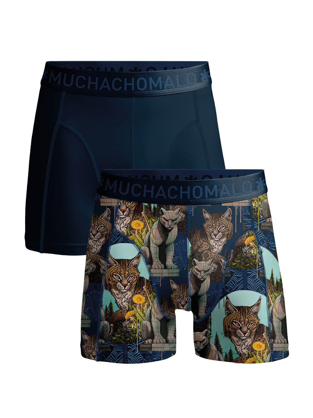 Wildcat 01 2pk Boxer C/m