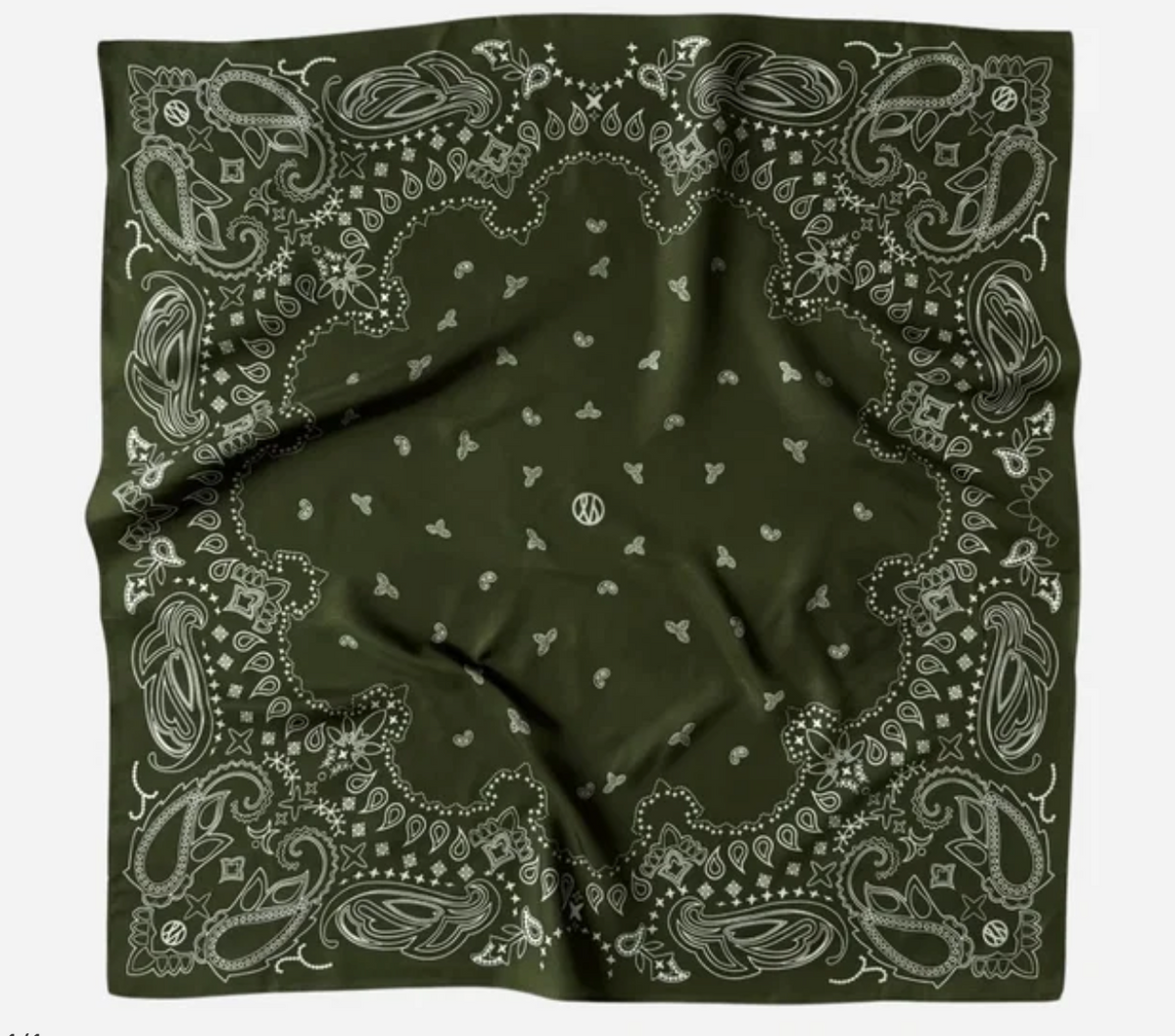 Paisley Scarf